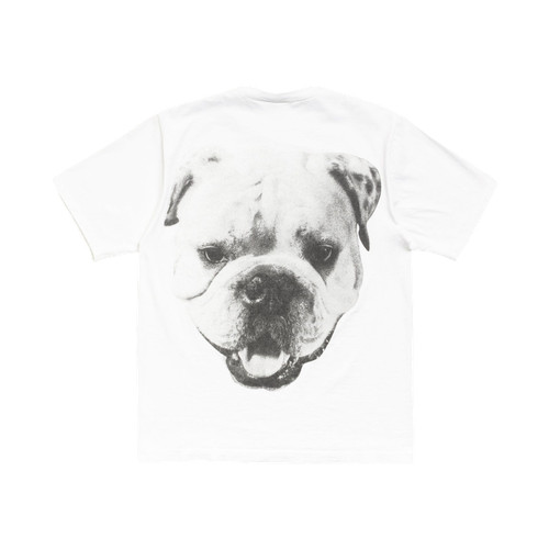 Stussy big dog stone washed - stone,